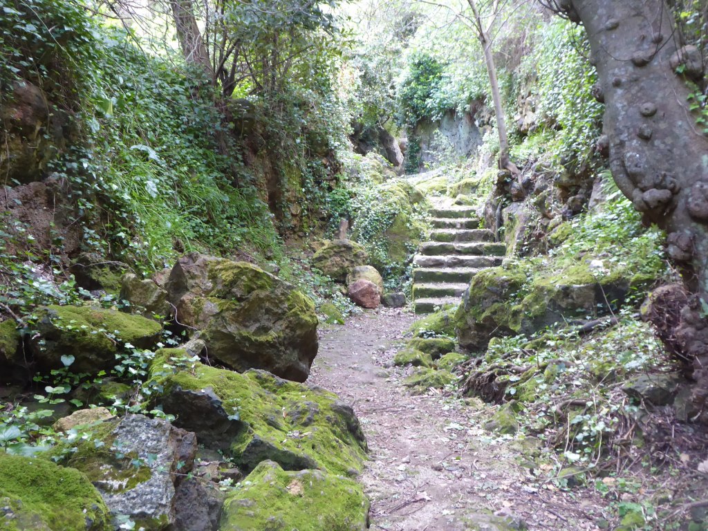 camí costerut des del Barranc d'Algendar fins al Camí Reial