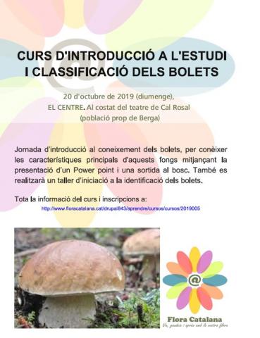 PosterCursBoletsBerga2019_0.jpg